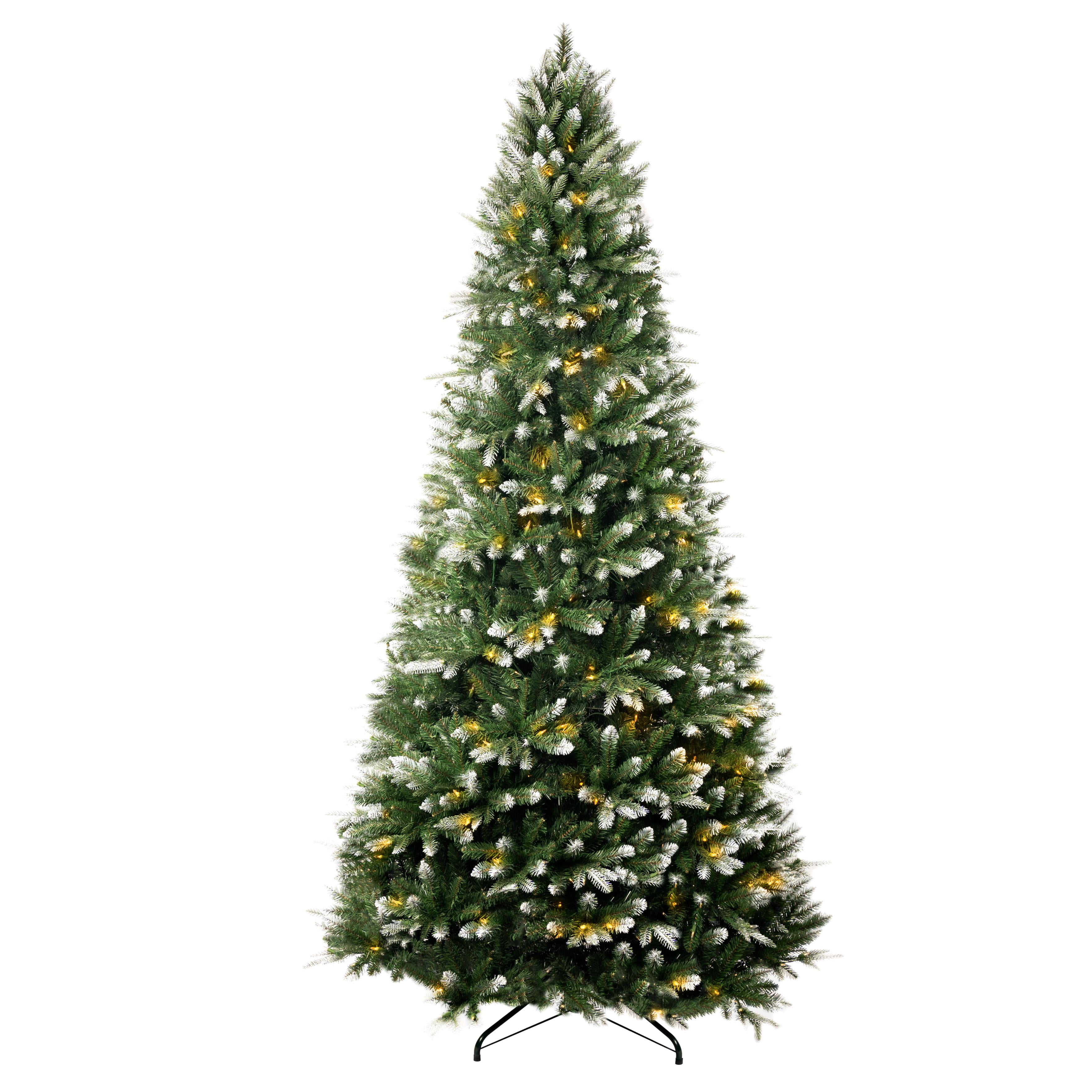 White Tip Christmas Tree 