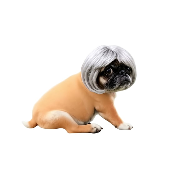 7.5x5.9in Pet Cute Wig, Short Hair Dog Costume Accessory, Funny Dress-Up Hairpiece for Puppy Photo Prop Party Cosplay