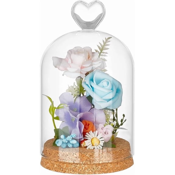 7.6x3.6Inch Glass Display Dome Dome Decorative Jar Glass Bell Jar with Cork Base for Flower Storage Specimens Crafts Decorations Clear DIY