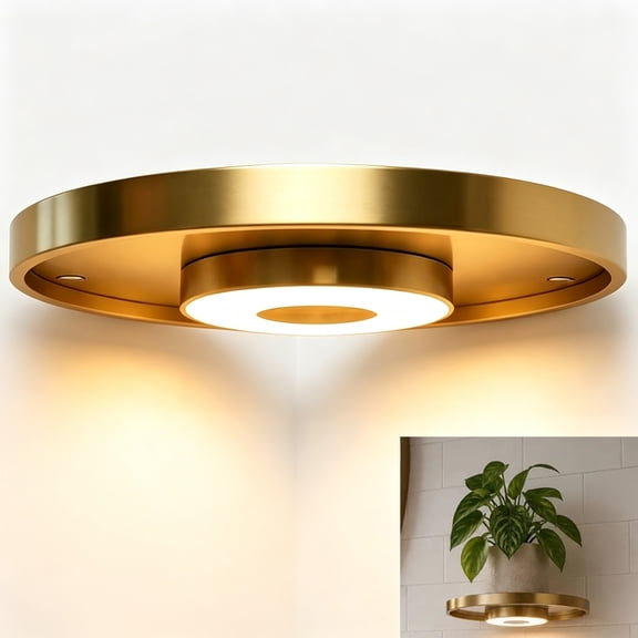 7.8 In Floating Wall Shelf with Built-in Ambient LED Light – Wall Shelf with Light, Invisible Brackets, Wall Mounted Display Rack for Home Decor