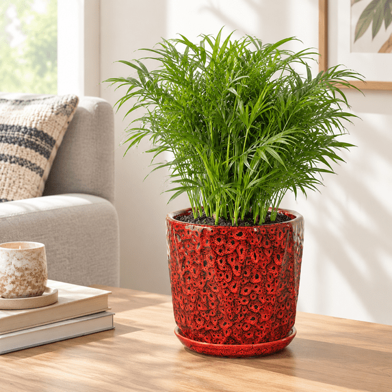 7.8 Inch Peacock Red Ceramic Plant Pot with Drainhole Net for Indoor ...