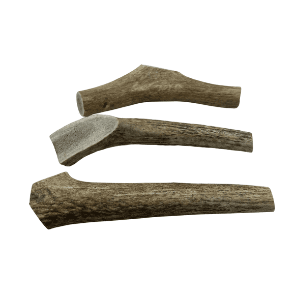 7-8" Large Whole Naturally Shed Elk Antler Dog Treats, 1 count