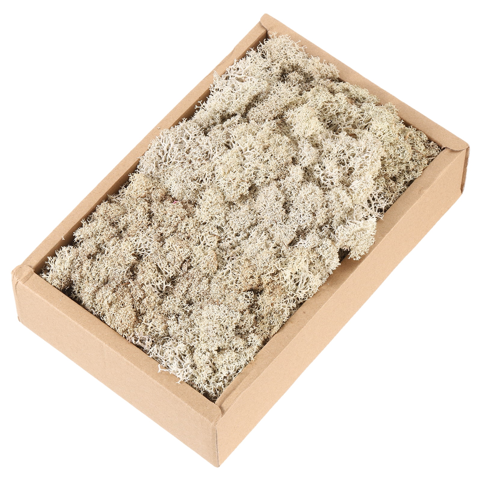 Uxcell 7.8oz Preserved Reindeer Moss Brown Decorative Artificial Fake Moss