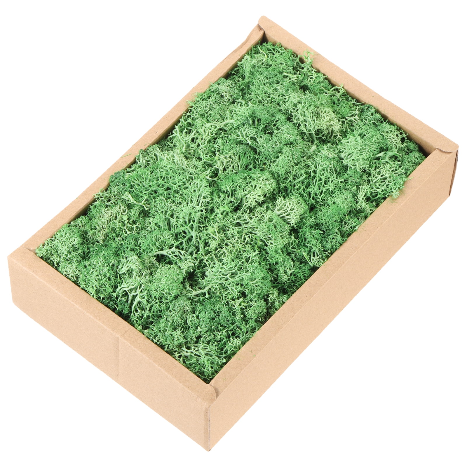 Uxcell 7.8oz Preserved Reindeer Moss Green Decorative Artificial Fake Moss