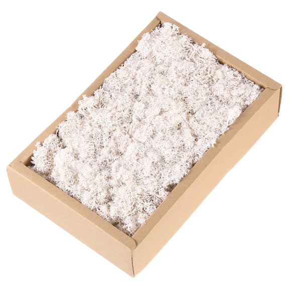 Uxcell 7.8oz Preserved Reindeer Moss White Decorative Artificial Fake Moss