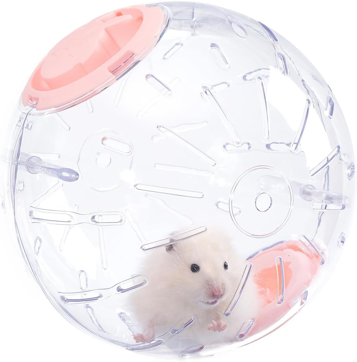 Stunning Stress-Reducing Playthings For Hamsters image