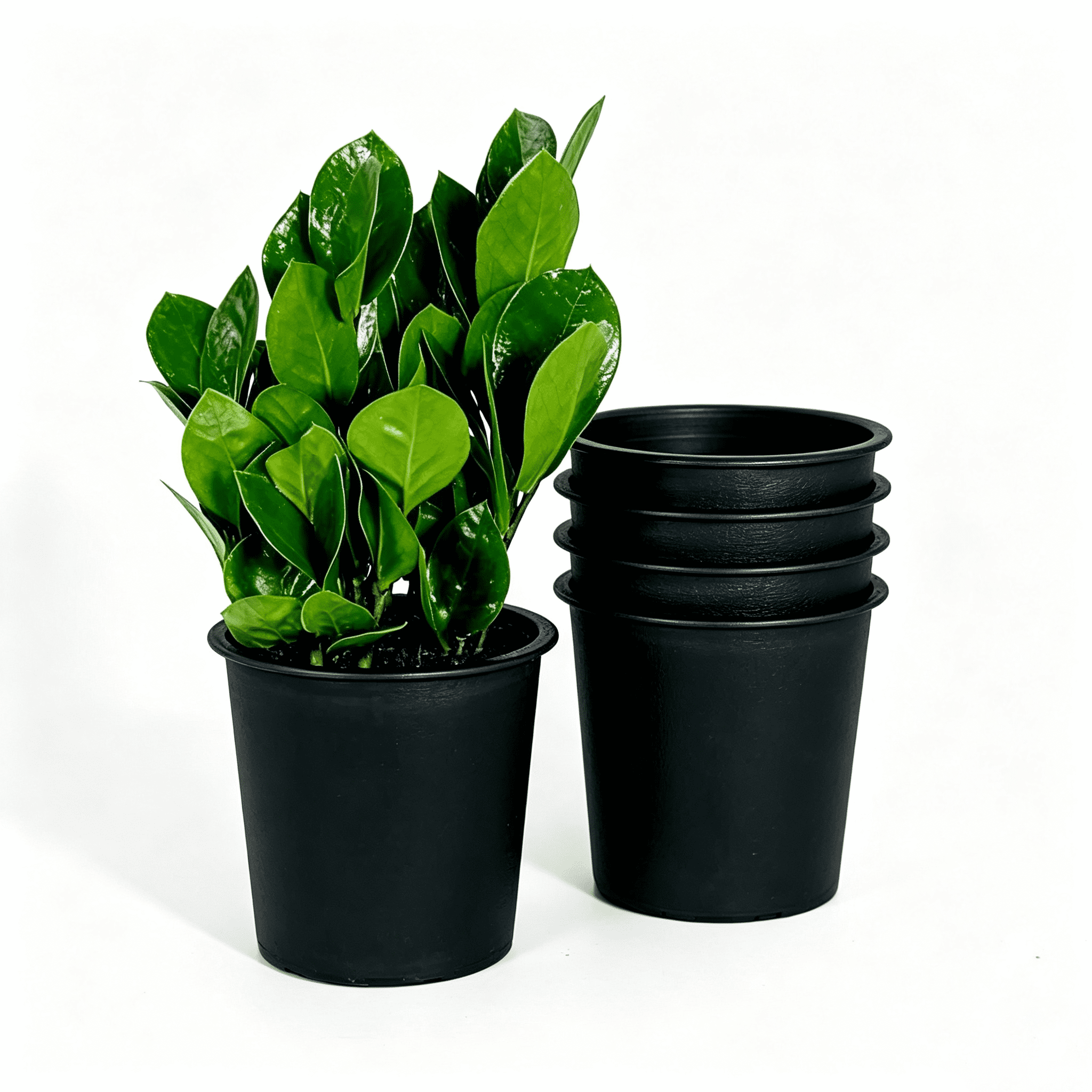 7.9 Inch Round Nursery Plant Pot 5-Pack Garden Plastic Pots with Drainage Hole All-Weather Durable Crack Proof Fade Resistant for Indoor Outdoor Plants