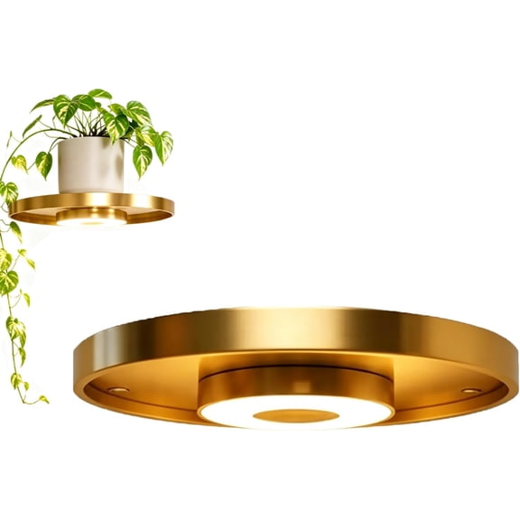 7.9Inch Floating Wall Shelf with Built-in Ambient Led Light Elevate Your Space, Floating Shelf with Lighting Underneath, Wall Mounted Shelves Plant Display & Light for Bedroom, Living Room