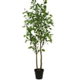 thumbnail image 1 of CG Hunter 84 in Citrus Lemon Tree Artificial Trees, 1 of 5
