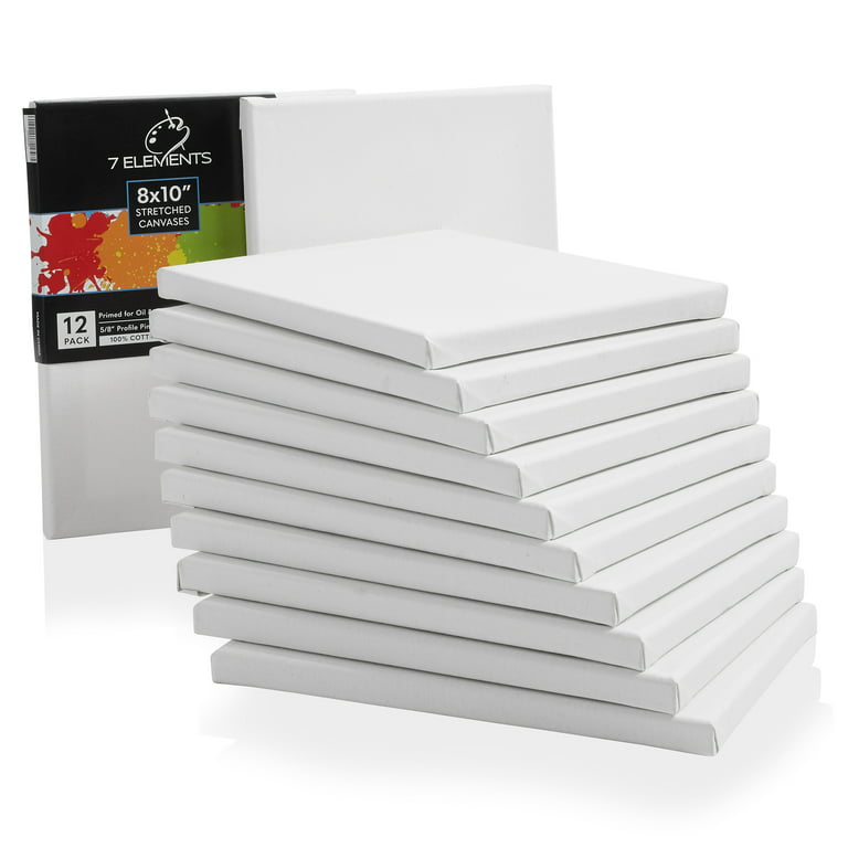 U.S. Art Supply 20 x 30 inch Stretched Canvas 12-Ounce Triple Primed,  6-Pack - Professional Artist Quality White Blank 3/4 Profile, 100% Cotton