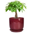 thumbnail image 1 of Ordivic 7 inch Round Red Ceramic Planter with Drainage Hole & Saucer, Flower Pot for Parlor Palm, Ivy, African Violet Entryway Porch & Living Room Decor, 1 of 8