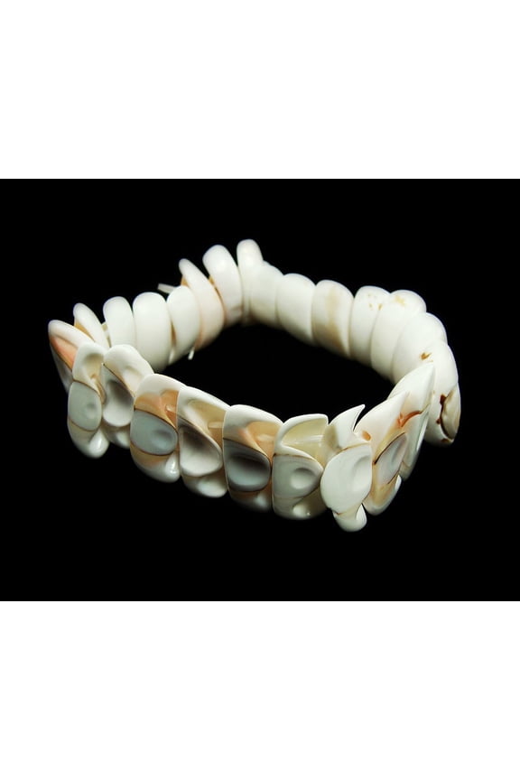 7 Inches Natural Shell Stretch Bracelet