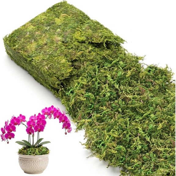 7 OZ Green Moss for Plants Indoor, Crafts Moss for Artificial Plants, Decorative Dried Moss Forest Moss for Fake Potted Plants, Fairy Garden, Table Centerpieces and Terrarium Decor