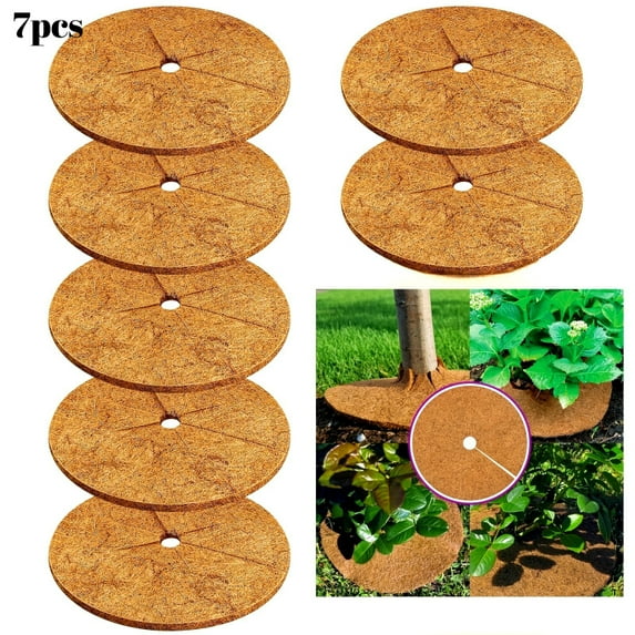 Coconut Fibers Mulch Ring Tree Protector Mat Coco Coir Tree Protection Tree Ring Mats Tree Disc Plant Cover For Indoor Or Outdoor 24 6pcs Coconut Fibers Mulch Ring Tree Protector Mat Coco Coir Tree Protection Tree Ring Mats Tree Disc Plant Cover For Indoor Or Outdoor 24 6pcs
