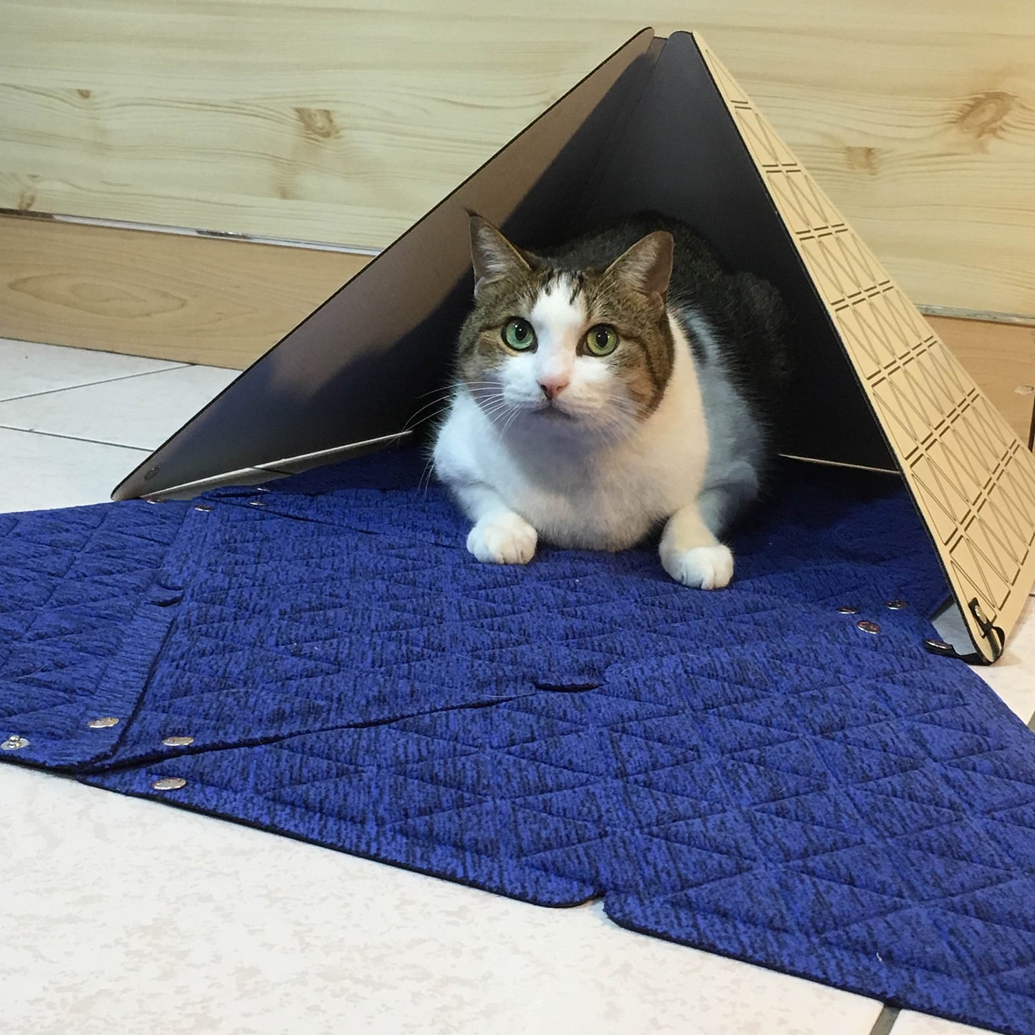 Cat 2025 puzzle mat