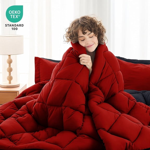 7 Pieces Full Comforter Set, Reversible Bed in a Bag Full Size, All Season Bedding Set with Comforter, Flat Sheet, Fitted Sheet, Pillowcases & Shams, Red & Black