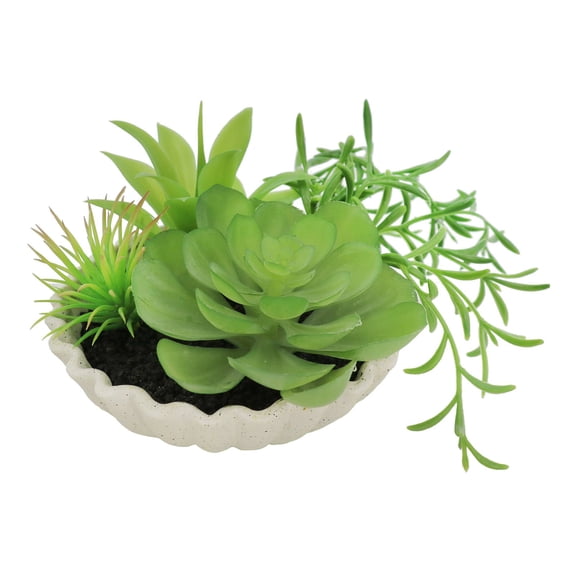7" Premade Succulent Mix in Ceramic Ruffle Bowl by Ashland - Spring Floral for Crafting and Home Decor
