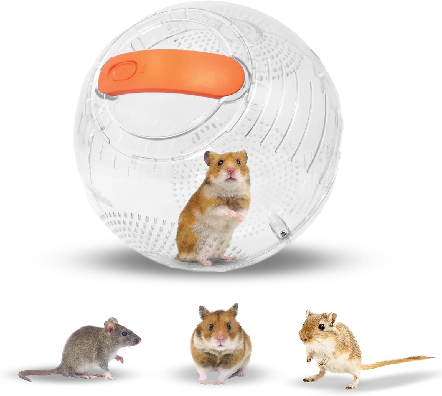 Happy Habitats Clear Dwarf Hamster Ball (7”) – Safe, Ventilated Plastic Balls for Hamsters, Gerbils & Mice