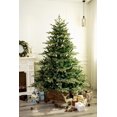 7' Western Mountains Blue Spruce Christmas Tree prelit with Color