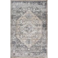thumbnail image 1 of 7' X 10' Gray and Brown Oriental Distressed Area Rug, 1 of 6