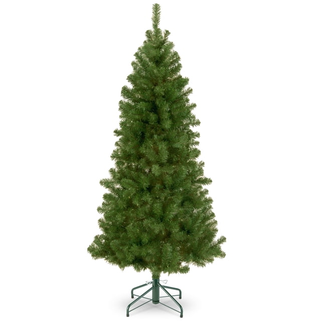 4.5 ft. Pre-Lit Canadian Grande Fir Tree with Clear Lights main image 1