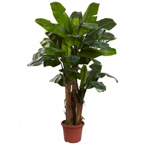 7 ft. Giant Triple Stalk Banana Tree UV Resistant - Indoor & Outdoor
