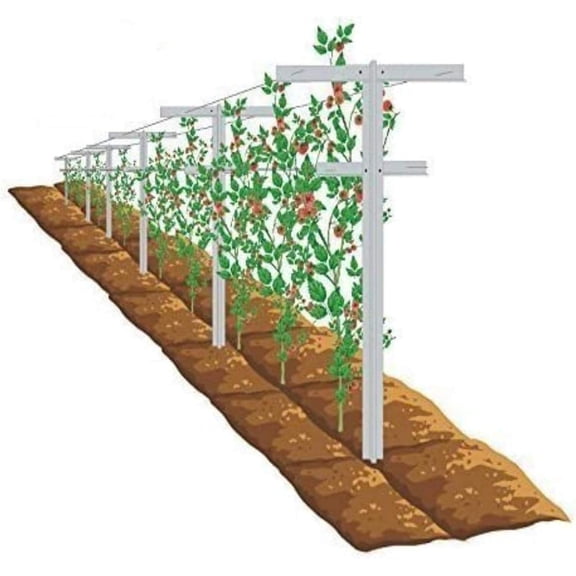 7 ft Tall Grape Vine Trellis Set (3 pcs), Fiberglass, Rust-Proof, Easy to Install