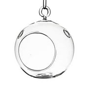7 in. Clear Round Hanging Terrarium Globe