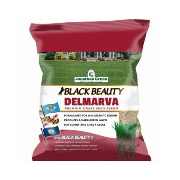 7 lbs Black Beauty Delmarva Mix Seed