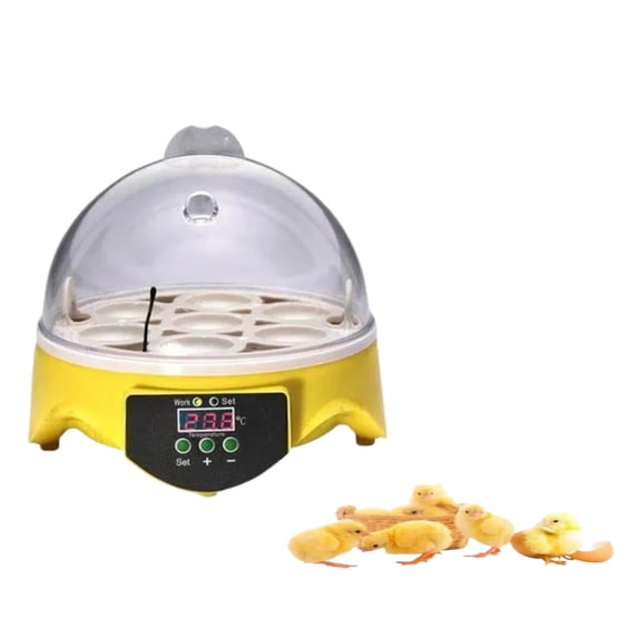 7 pieces Mini Egg Incubator for Hatching Eggs with 360° Clear View, Automatic Temperature Control Small Egg Incubator for Chickens, Ducks, and Quail, Educational Hatching Kit for Kids and Home Use