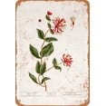 thumbnail image 1 of 7 x 10 METAL SIGN - 1737 Honeysuckle Botany Plate - Vintage Rusty Look, 1 of 2