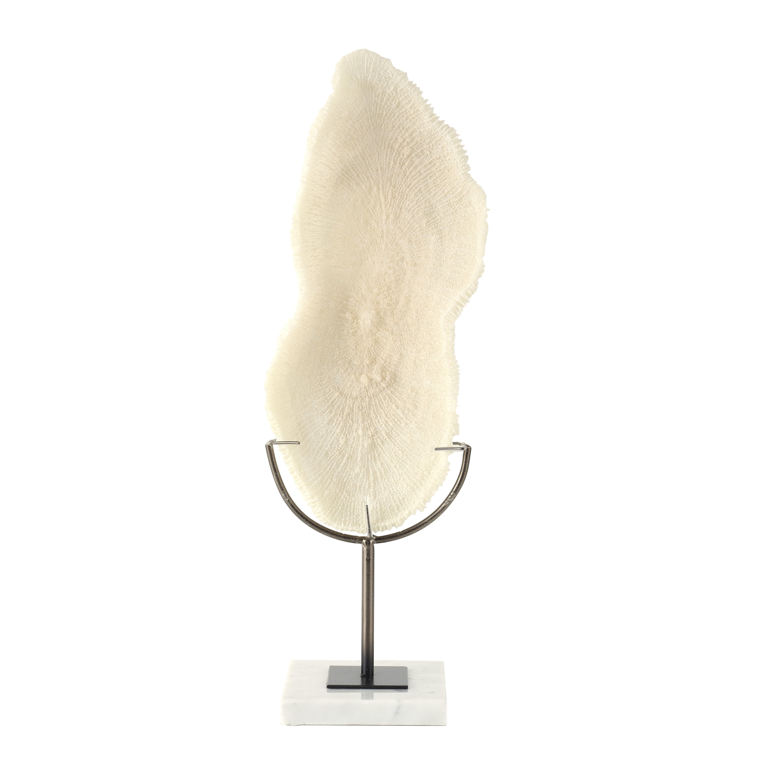7" x 19" Cream Polystone Abstract Textured Coral Sculpture with Gray Stand and Acrylic Base, by DecMode