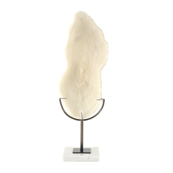 7" x 19" Cream Polystone Abstract Textured Coral Sculpture with Gray Stand and Acrylic Base, by DecMode