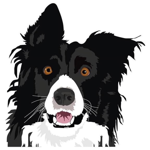 7 x 20 in. Super Cute Dog Decal - Border Collie