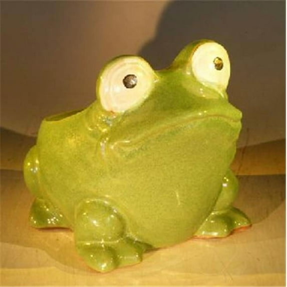 7 x 9 x 7.5 in. Frog Planter, Green