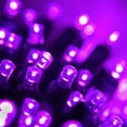 thumbnail image 1 of 70 5mm LED Purple Lights, 24' Halloween Lights Christmas Lights LED String Lights Mini Lights Holiday Lights Halloween Decorations Outdoor, 1 of 7