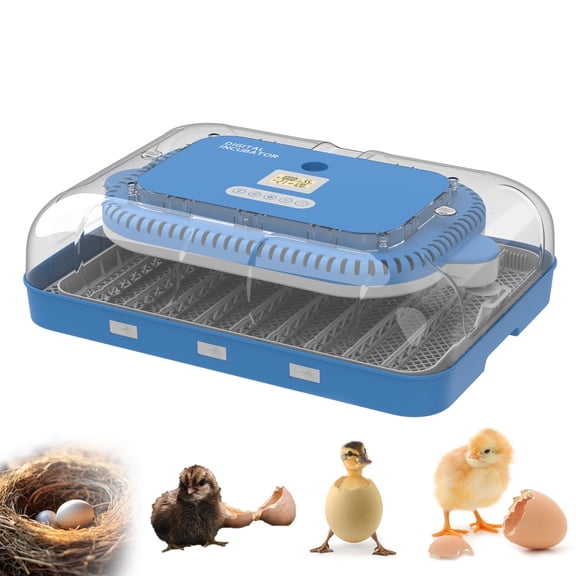 70 Egg Incubator with Automatic Turning, Humidity Control, Digital Poultry Hatcher for Chicken, Duck, and Quail Eggs, Auto Humidification & Temp Regulation for Farm, School & Lab Use