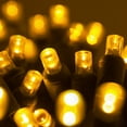 thumbnail image 1 of 70 Gold LED Christmas Lights, Long Life, Outdoor String Lights, Connectable, for Tree, Party, Holiday, Christmas, Decoration, 24' Length, 4" Spacing, 1 of 6