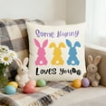 thumbnail image 1 of UP TO 70% OFF! YZEGDCH Easter Rabbit Throw Pillow Covers 18x18 Inch Fluffy Faux Fur Decorative Farmhouse Cushion Case for Home Couch Farmhouse Decorations Easter Gift, 1 of 6