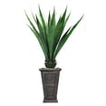 thumbnail image 1 of 70 in. Agave in Fiberstone Planter, 1 of 2
