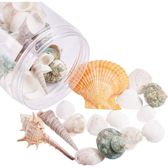 70 pcs Mixed Shape Undrilled Sea Shell Beads No Hole Scallop Sea Shells Natural Ocean Beach Clam Seashells Craft Charms for Home Party Wedding Decoration Fish Vase Filler Mixed Color