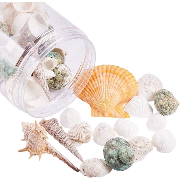 70 pcs Mixed Shape Undrilled Sea Shell Beads No Hole Scallop Sea Shells Natural Ocean Beach Clam Seashells Craft Charms