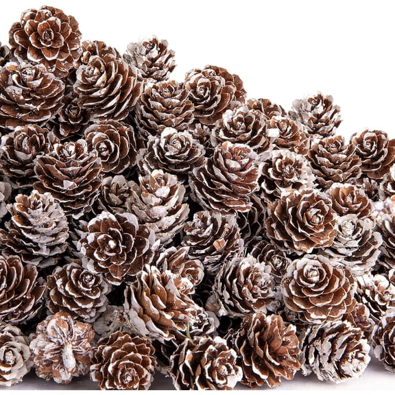 700 Pcs Christmas Natural Mini Pine Cones- 1" Small Christmas Snow Pinecones Ornaments- Thanksgiving Mini Snow Pinecones for DIY Crafts Vase Fillers Fall Winter Home Christmas Tree Decor