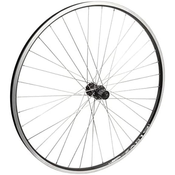700c Rear Wheel - Quick-Release, 36H, 8-Speed Cassette Hub, Black (MSW)/Black/Steel$$Sport & Recreation Other