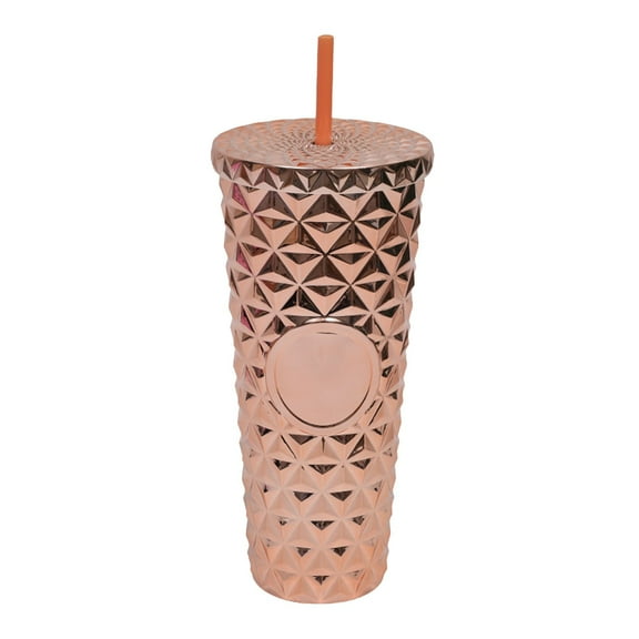700ml Reusable Tumbler with Lid and Straw - Double Wall Insulated Cold Drink Cup with Clear Portable Design - C