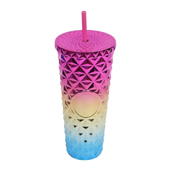 700ml Reusable Tumbler with Lid and Straw - Double Wall Insulated Cold Drink Cup with Clear Portable Design - E