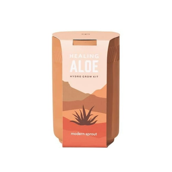 7021666 SEED STARTER KIT Modern Sprout Healing Aloe Succulent Seed Starter Kit (Pack of 6)