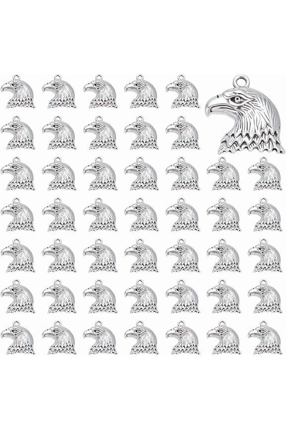 70Pcs Eagle Head Charms Tibetan Style Zinc Alloy Eagle Pendant Silver Hawk Charms Animal Pendant DIY Accessories for DIY handcrafting