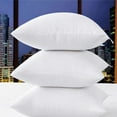 thumbnail image 1 of 71.12x71.12cm European pillow core-cotton fabric-white, 1 of 7