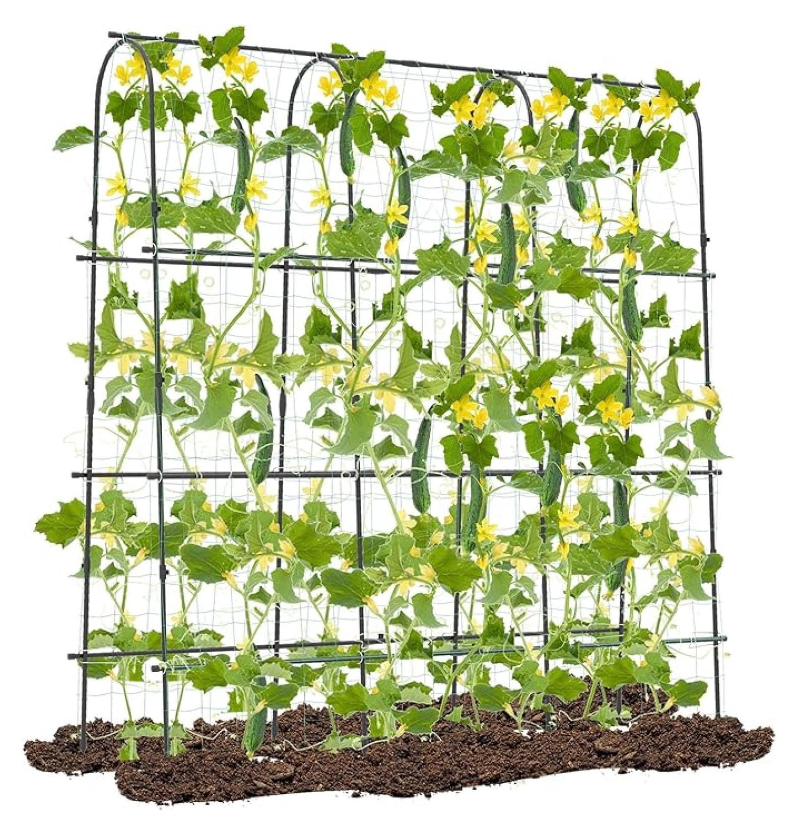 71" x 71" Cucumber Trellis for Raised Bed, Garden Arch Trellis Metal Plant Support Frame with Netting, Sure-Clips & Ground Stakes, U-Shaped Garden Trellis for Climbing Plants Outdoor